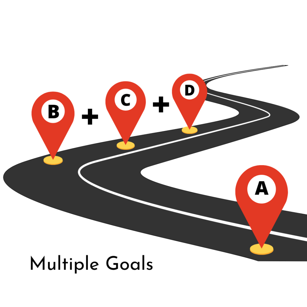 Having-Multyple-Goals-need-special-Strategy-for-Sucess-Wise-to-Optimise-Digital-Marketing-Strategy 2